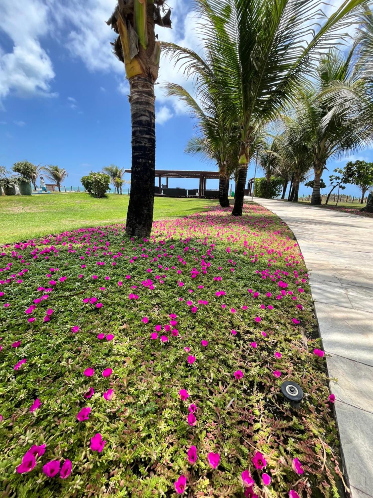 Resort Beira Mar Em Porto De Galinhas - Cupe Beach Living Pôrto das Galinhas Zewnętrze zdjęcie